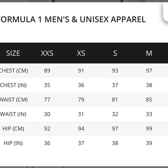 Mercedes AMG Petronas F1 2023 Team Shirt - Picture 4 of 4